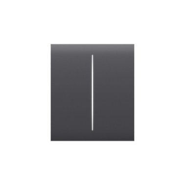 Centerbutton (2-gang) [55] asp graphite centerbu