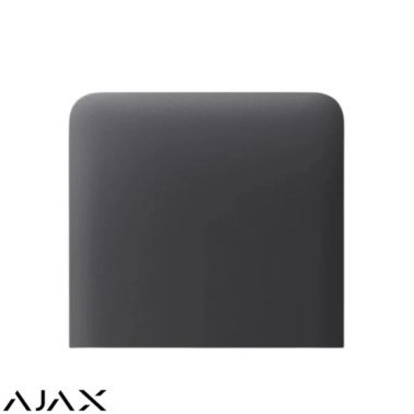 Sidebutton (1-gang) vertical [55] asp  graphite