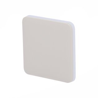 Solobutton (1-gang/2-way) [55] asp oyster tasto