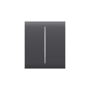 Centerbutton (2-gang) [55] asp graphite centerbu