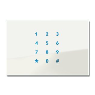 Doory elettronica tastiera numerica 120x80 traspar