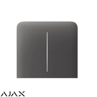 Sidebutton (2-gang) vertical [55] asp grey