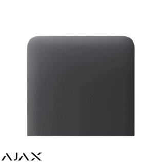 Sidebutton (1-gang) vertical [55] asp graphite