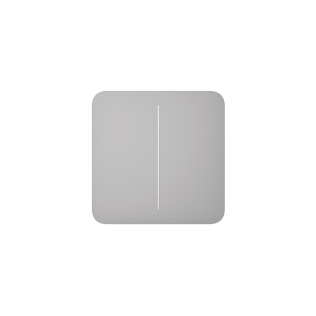 Solobutton (2-gang) [55] asp fog tasto per light