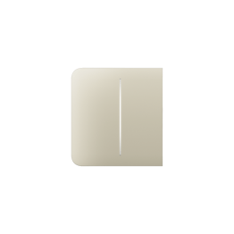 Sidebutton (2-gang) [55] asp ivory sidebutton (2