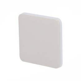 Solobutton (1-gang/2-way) [55] asp oyster tasto