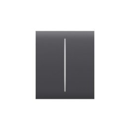 Centerbutton (2-gang) [55] asp graphite centerbu