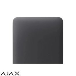 Sidebutton (1-gang) vertical [55] asp graphite