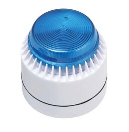 Flashni 12v bianca calotta blu